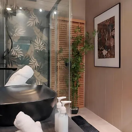 Appartement Vieille Stanislas