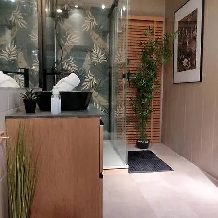 Appartement Vieille Stanislas *