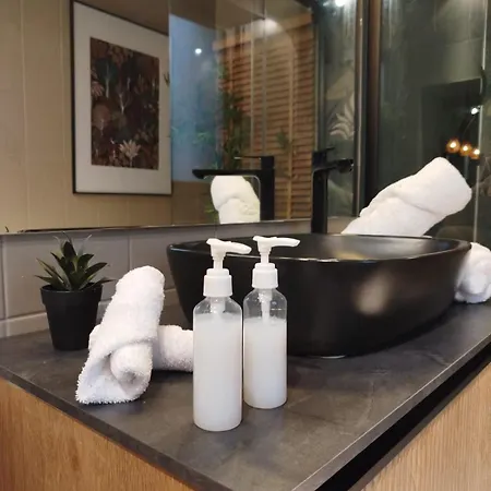 Vieille Stanislas Appartement