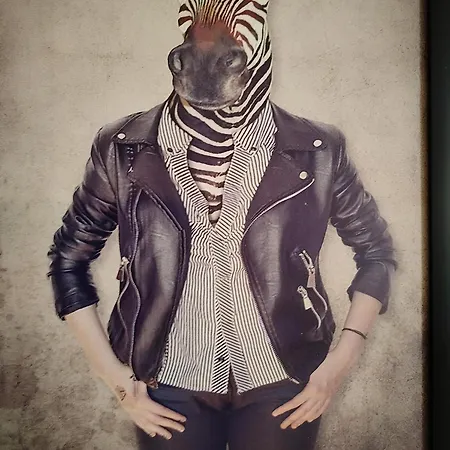 Vieille Stanislas Appartement Nancy