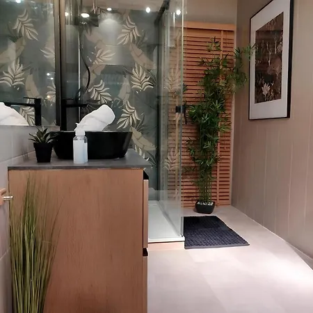 Vieille Stanislas Nancy