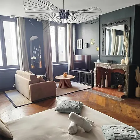 Vieille Stanislas Apartament Nancy