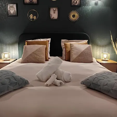 Vieille Stanislas Appartement *