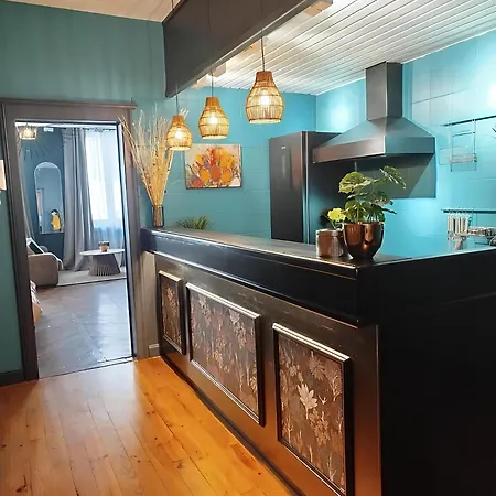 Vieille Stanislas Appartement Nancy