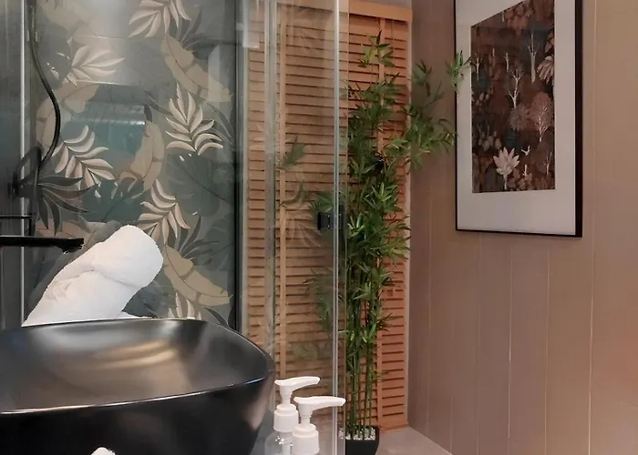 Apartamento Vieille Stanislas