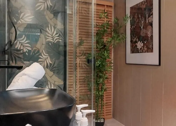 Vieille Stanislas דירה נאנסי