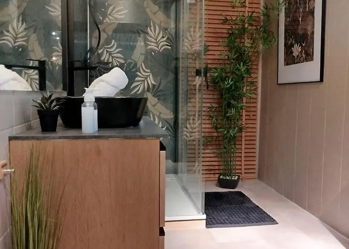 Apartamento Vieille Stanislas *