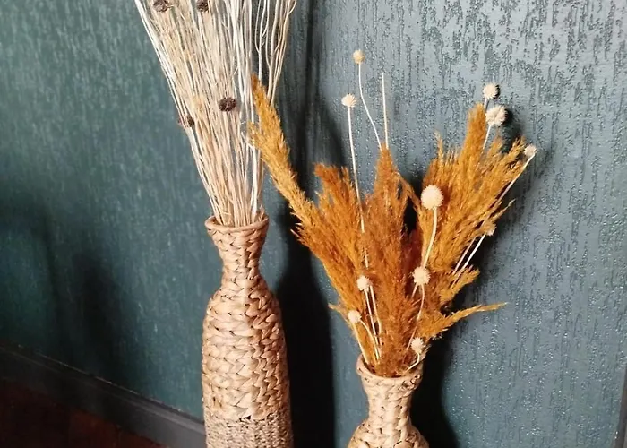 Vieille Stanislas * נאנסי