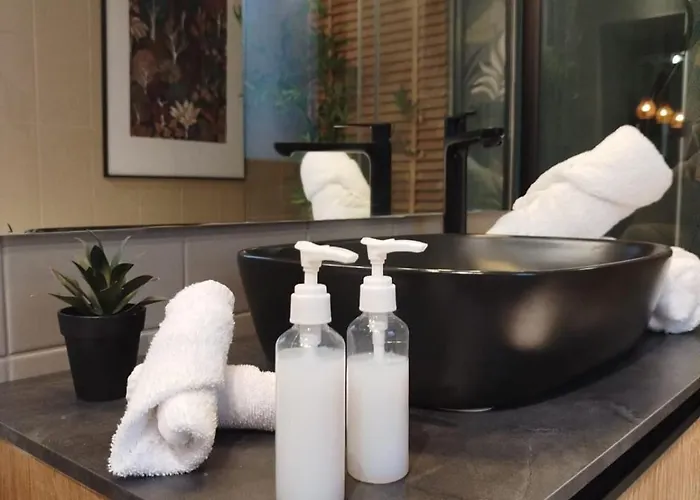 Vieille Stanislas Apartamento