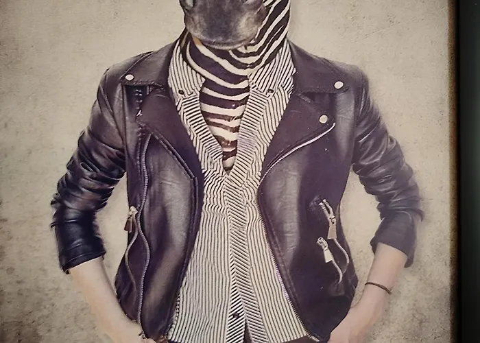 Vieille Stanislas דירה נאנסי