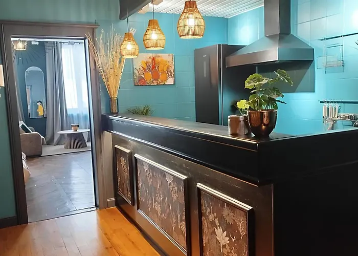 Vieille Stanislas Apartamento Nancy